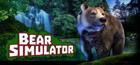   Simulator Bear   -  2